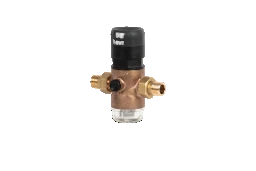 BWT BWT D1 Red 1' 40.16 Pressure Reducer, 40 C, 16 bar, Rg+ - 125300279