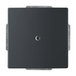 BUSCH-JAEGER Blind central plate with support ring various surface programs, matte black – 2CKA001710A3895
