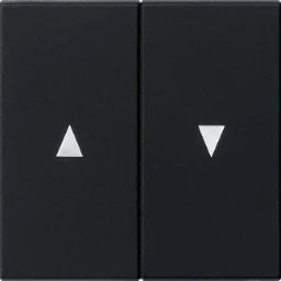 GIRA Wippe 2fach mit Pfeilsymbol System 55 schwarz matt – 0294005
