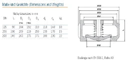 RITAG Ritag-Rs-Ventil Sr 10.16 DN125 – 9800000030