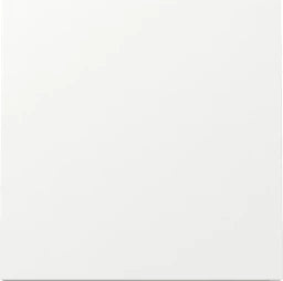 GIRA Rocker Surface Switch Pure White – 329670