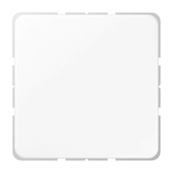 Blind cover (latched), thermoplastic, CD series, alpine white – CD594-0WW