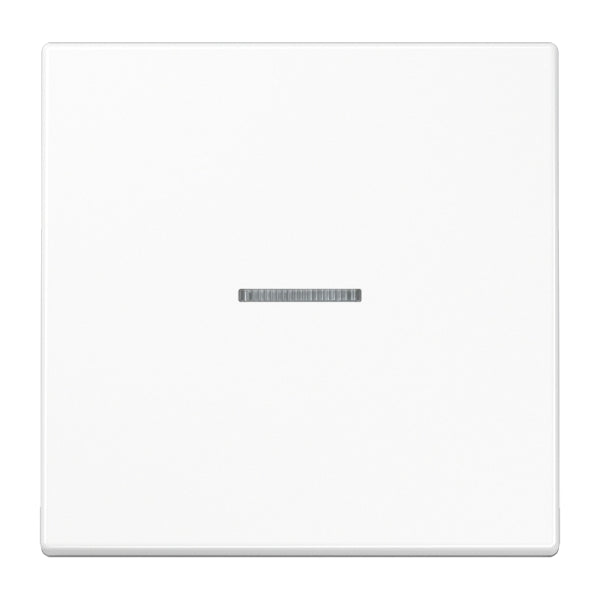 Wippe 1fach mit Lichtleiter, Duroplast, Serie LS, alpinweiss – LS990KO5WW