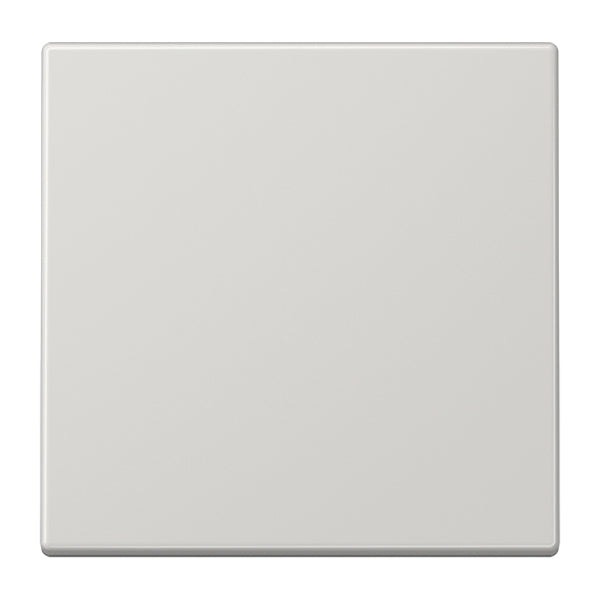 Wippe 1fach, Duroplast, Serie LS, lichtgrau – LS990LG