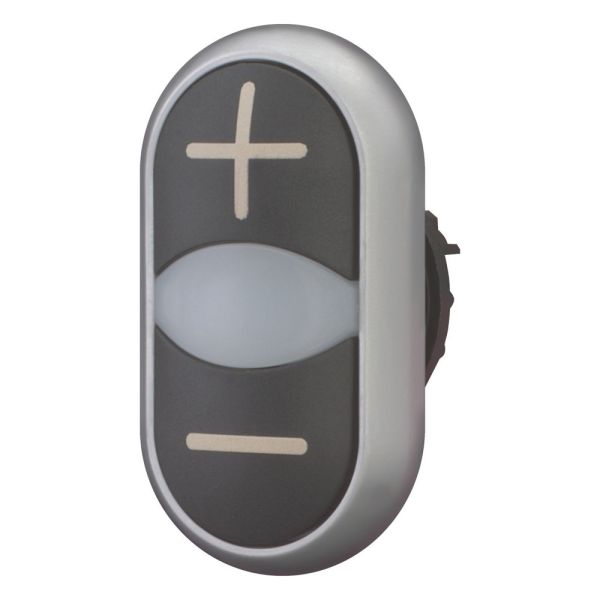Double pushbutton, RMQ-Titan, buttons and indicator lights protruding, momentary, lens white, black, black, inscribed, bezel titanium – 218145