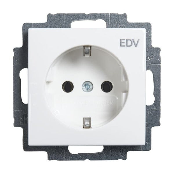 SCHUKO Socket Outlet Insert with Imprint Data Processing glacier white - balanceSI – 2CKA002011A6235
