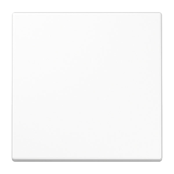 Wippe für KNX Taster 1fach, Duroplast, Serie LS, alpinweiss – LS101WW