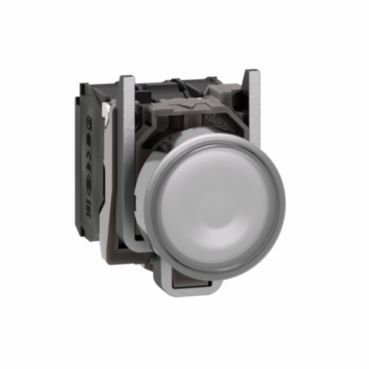 Illuminated Pushbutton, XB4, Metal, 22mm, white, LED, flush cap, 1NO+1NC, 24VACDC