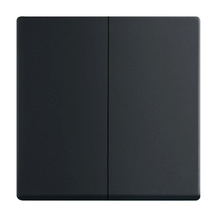 BUSCH-JAEGER Wippe Serie div. Flächenprogramme, schwarz matt – 2CKA001751A3038