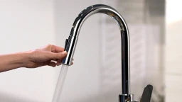 HANSGROHE HG Focus Kitchen Mixer with Pull-Out Spray, Chrome – 31815000