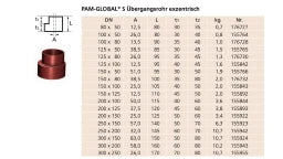 PREIS PAM GLOBAL S Übergangsrohr exzentrisch DN 100 x 80 – 13882