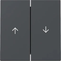 GIRA Rocker 2-gang Arrow System 55 Anthracite - 329428