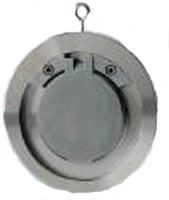 RITAG Ritag ZW-FL-Rückschlagkl. DN80 PN6-40 ZRK1 1.0460/1.4308 met.di.+300°C – 9800000155