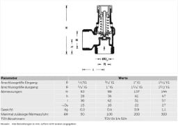 RESIDEO Resideo Diaphragm Safety Valve SM120 Brass, 1/2", 3 bar, B - SM120-1/2B