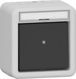 GIRA Wipptaster Wechsler BSF WG AP Grau – 315630