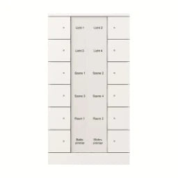 BUSCH-JAEGER Control element 12-gang SB/U12.0.11-84 – 2CKA006330A0015