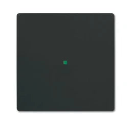 BUSCH-JAEGER @ Rocker 1-gang without imprint various surface programs, black matte - 2CKA006220A0498