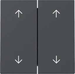 GIRA Rocker 2-gang Arrows System 55 Anthracite – 329728