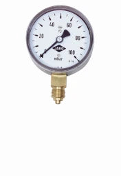BWT BWT Mondsee Fig. 829 1/4' Gas Capsule Pressure Gauge - 881238