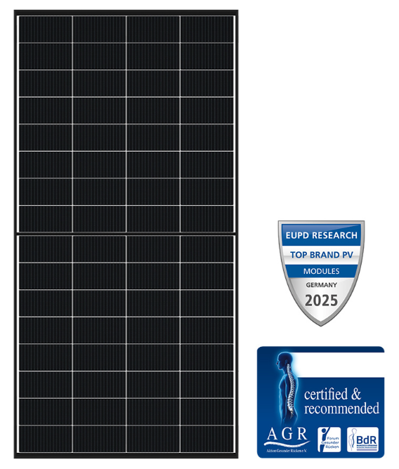 Solarmodul DMEGC Solar 260 Wp DM260M10T-B32HBT bifacial transparent Glas Glas Monofacial N-Typ