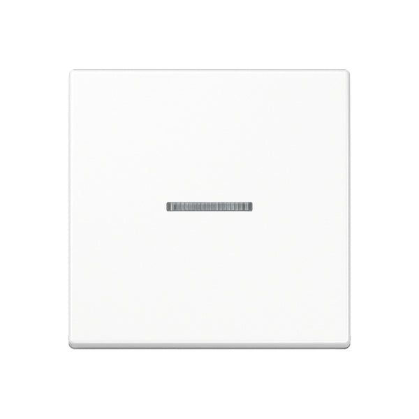 Wippe 1fach mit Lichtleiter, Duroplast, Serie A, alpinweiss – A590KO5WW