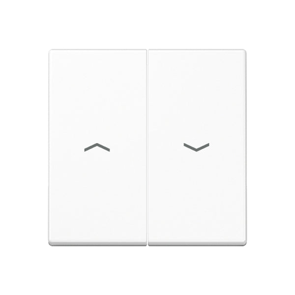Rocker 2-gang, with arrow symbols, thermoset, Series A, alpine white – A595PWW