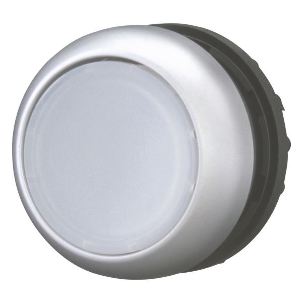 Leuchtdrucktaste, RMQ-Titan, flach, tastend, weiß, unbeschriftet, Frontring Titan – 216922
