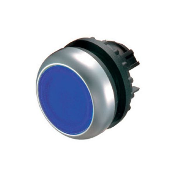 Leuchtdrucktaste, RMQ-Titan, flach, tastend, blau, unbeschriftet, Frontring Titan – 216931