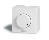 Electronic Surface-Mounted Speed Controller – 239