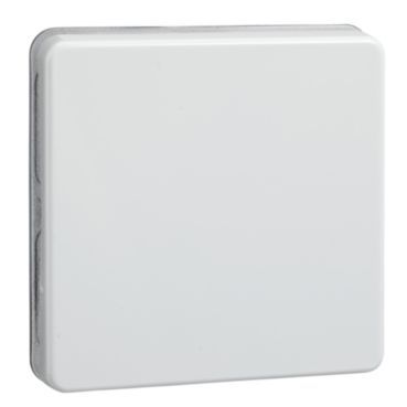 Rocker Universal,-Intermediate/Pushbutton Switch FASHION/RIVA/SCALA pure white – 233604