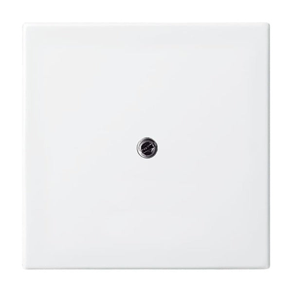 Zentralscheibe für Netzteil-Einsatz mit Akkupuffer 1519U alpinweiß - balanceSI – 2CKA001724A4338