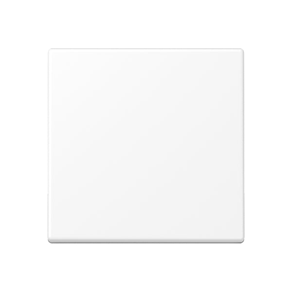 Steuertaste Standard, Thermoplast lackiert, Serie A, schneeweiss matt – A1700BFWWM
