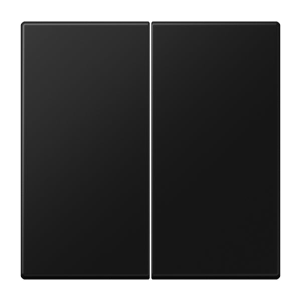 Wippe 2fach, Serie LS, graphitschwarz matt – LS995SWM