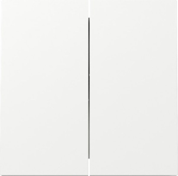 GIRA Wippe 2f Flächenschalter Reinweiß  – 329570