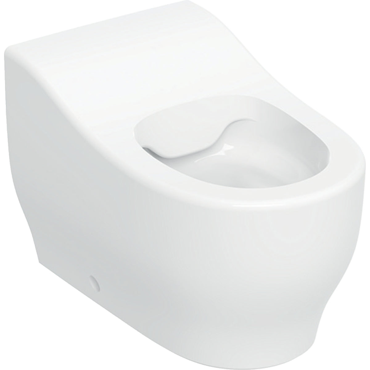 GEBERIT SANITAER Geberit Bambini SWC-T H24 Rimfree, Abgang horizontal  – 502.965.00.1