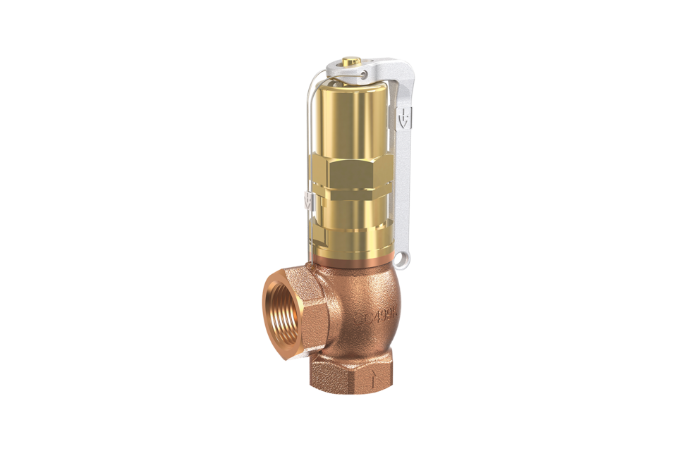 GOETZE Druckbegrenzungsventil ähnl.Fig.528 A/T (615T)   2" Einstellbereich: 2-12 Bar   – 628SGFL50-PTFE 2-12