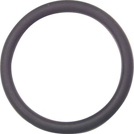 FISCHER GEORG GF O-Ring EPDM für Verschraubung und Bundbuchse m.Nut  d 25   – 748410007
