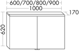 Alva Viva Spiegelschrank, Korpus verspiegelt, 100x62x17cm,LED-Aufsatzleu. - AQBMVISPS5