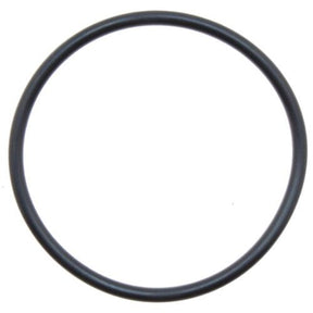 Alva pH-Optima Deckeldichtung -DN65 O-Ring 100x5, NBR bis 80 Grad - ALPH00059