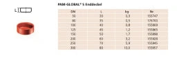 PREIS PAM GLOBAL S Enddeckel DN 100  – 10150