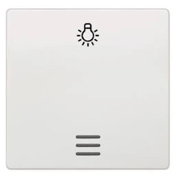 SIEMENS Rocker with window and symbol light DELTA i-system, titanium white – 5TG6206