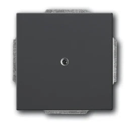 BUSCH-JAEGER Cable outlet - central plate various surface programs, black matt – 2CKA001710A3900