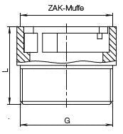 HAWLE ZAK 46 Übergangsstück Fig.6189 2" AG   – 5005891